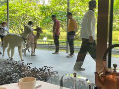-南宁荔园维景国际酒店·荔园中餐厅