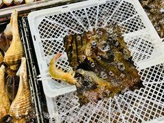 -全记海鲜菜馆(海傍街店)