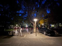 -长白岛森林公园