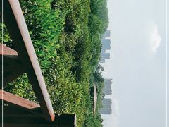 -大亚湾红树林城市湿地公园