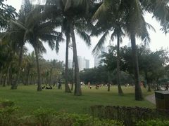 -万绿园