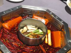 -蜀九香火锅(九眼桥店)