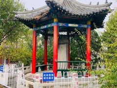 -桃花堤公园