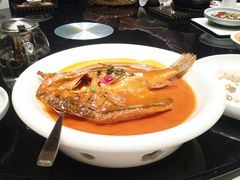 多宝鱼-马仕玖煲·融合菜·酥不腻烤鸭(人大店)