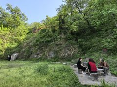 -盛世牡丹苑生态文化旅游区