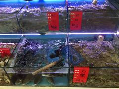 -阳光海鲜大排档