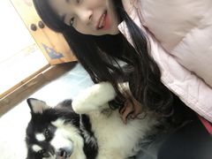 -浔岚云舍mist静谧观景美宿(丽江古城店)
