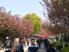 -无锡市乌鹤山公墓办事处