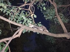 -晓港公园
