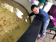 -杭州少年儿童公园