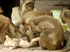 -昆明动物园