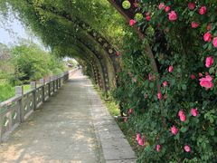 -南通洲际绿博园