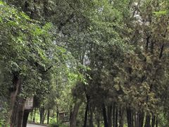 -仁寿山
