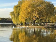 -石家庄市植物园