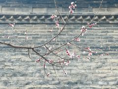 -罔极寺