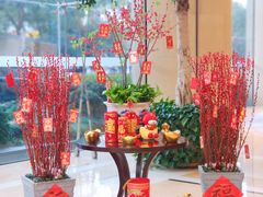 -喜来登由由大酒店九州膳坊中餐厅