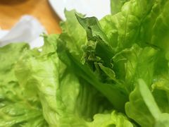 -真利味·脊骨火锅·正宗韩国料理(韩乐坊店)