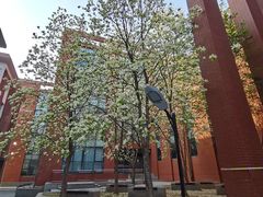 -中国政法大学(昌平校区)