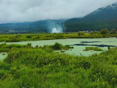 -腾冲北海湿地