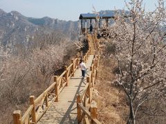 -大岭沟猕猴桃谷风景区
