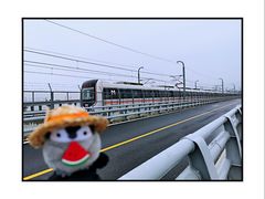 -海堤纪念公园