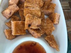 -洞背山庄(洞背院区式管理小区店)