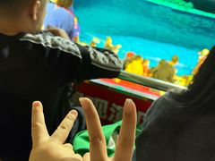 -大连圣亚海洋世界