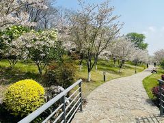 -羊山湖公园