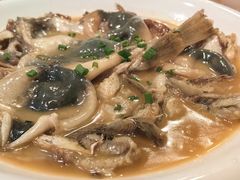 -9号小厨师(端平桥店)