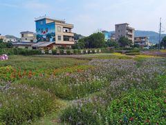 -黄埔油麻山森林公园