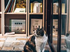 -隅cafe(傅厚岗店)