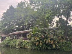 -荔湾湖公园