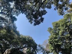 -BreadTalk面包新语·烘焙蛋糕(领展购物广场店)