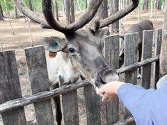 -北极村旅游风景区