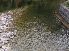 -秦岭峡谷漂流景区