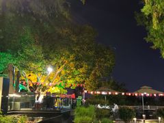 -蘇河湾·新鲁菜·泰山宴(泰山店)