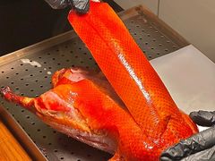 -柿合缘新京菜(静安嘉里中心店)