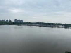 -眉山湿地公园(东坡区)