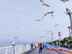 -滇池海埂公园