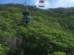 -富斯特索道