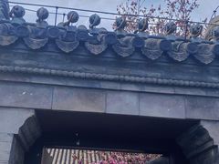 -VOYAGE COFFEE(北锣鼓巷店)