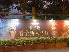 -广州长隆国际大马戏