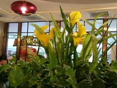 -大家乐(广州天河城六楼店)