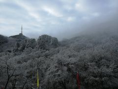 -黄山排云型旅酒店餐厅