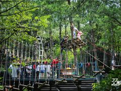 -梦幻奥陶纪景区