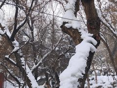 -水磨沟公园