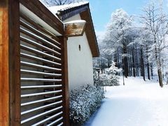 -四明山国家森林公园