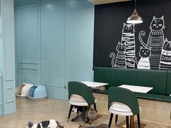用餐区-安格丽娜·狗咖·猫咖羊驼咖(春熙路百盛商场店)