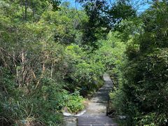 -广州白江湖森林公园