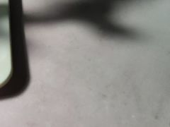 -叶家花园